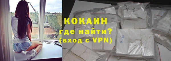твердый Магас