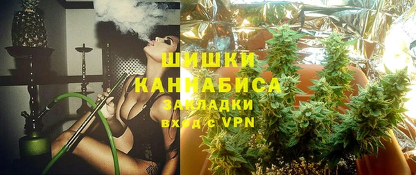 твердый Магас