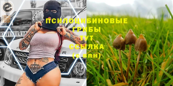 твердый Магас