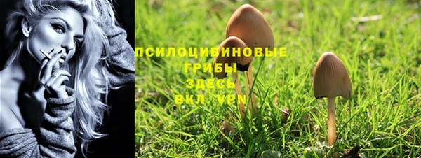 Альфа ПВП Медвежьегорск