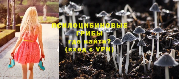 хмурый Майский