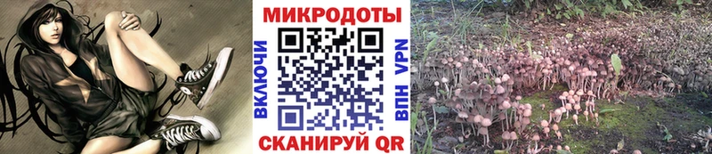 Псилоцибиновые грибы GOLDEN TEACHER  Мосальск 
